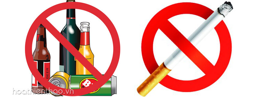 4 nguyên nhân khiến da bạn bị lão hóa mỗi ngày - hoathienthaovn