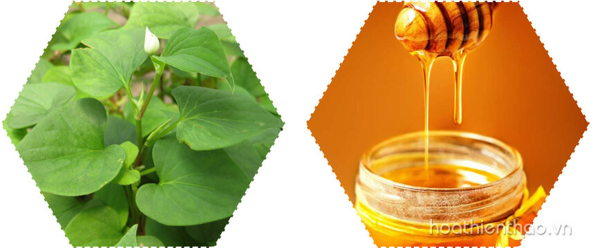 5 cách sử dụng rau diếp cá làm đẹp da - Hoa Thien Thao Cosmetics