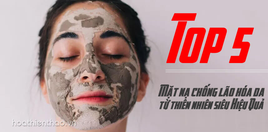 5 loại mặt nạ chống lão hóa da từ thiên nhiên siêu hiệu quả - Hoa Thiên Thảo