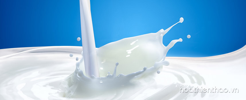 6 Lý do bạn không nên dùng xà phòng rửa mặt - Hoa Thiên Thảo