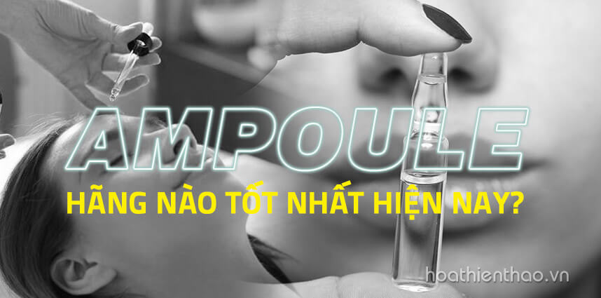 Khám phá Ampoule hãng nào tốt nhất hiện nay - Hoa Thiên Thảo