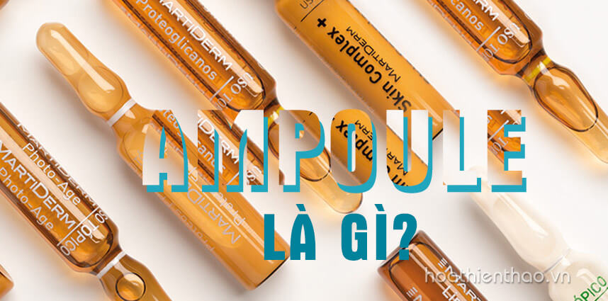 Ampoule là gì Các loại Ampoule tốt nhất hiện nay - Hoa Thiên Thảo
