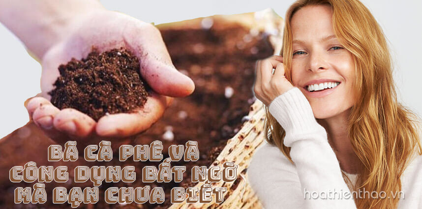 Bã cà phê và công dụng bất ngờ mà bạn chưa biết - hoathienthaovn