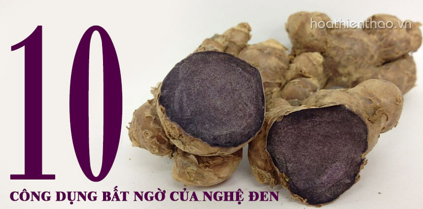 Bất ngờ với 10 công dụng của nghệ đen - Hoa Thien Thao Cosmetics