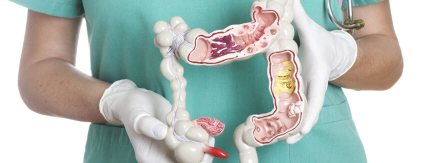 Bất ngờ với 10 công dụng của nghệ đen - Hoa Thien Thao Cosmetics