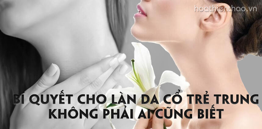 Bí quyết cho làn da cổ trẻ trung - hoathienthaovn