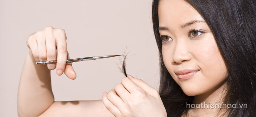 Bí quyết giúp tóc nhanh dài trong 30 ngày - Hoa Thiên Thảo