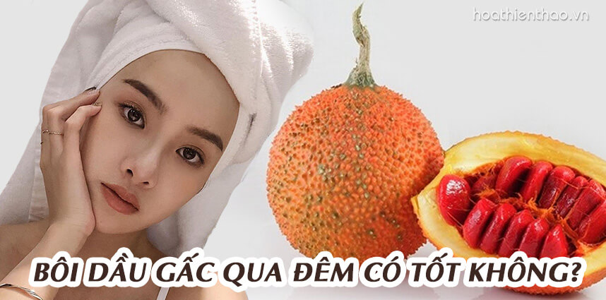 Bôi dầu gấc qua đêm có tốt không - HoaThienThao