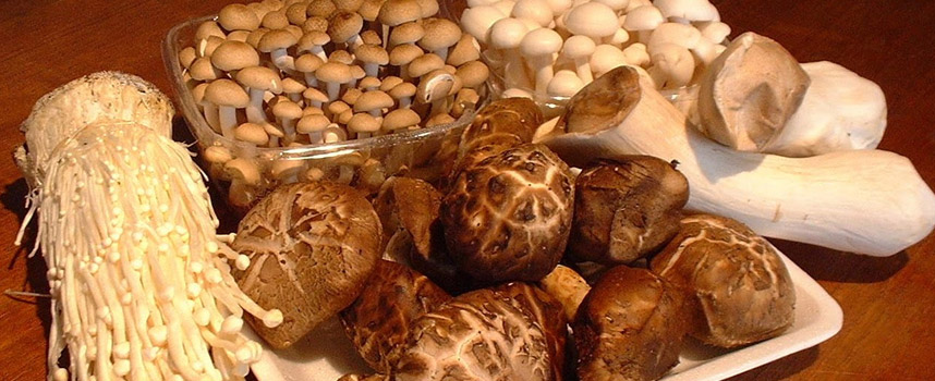 Các thức ăn tốt cho da, ăn càng nhiều, da càng đẹp - Hoa Thiên Thảo Cosmetics