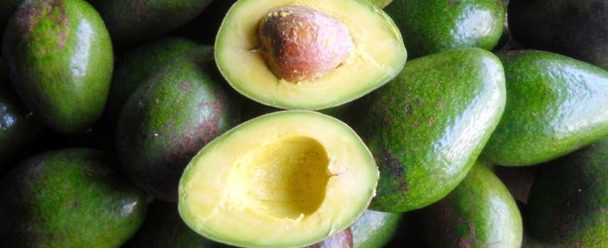 Các thức ăn tốt cho da, ăn càng nhiều, da càng đẹp - Hoa Thiên Thảo Cosmetics