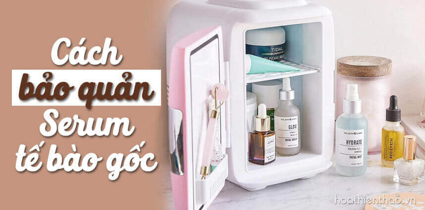 Cách bảo quản serum tế bào gốc - HoaThienThao