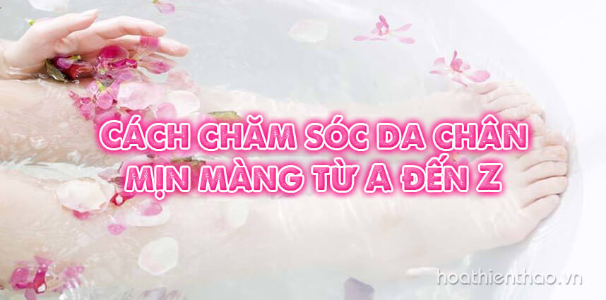 Cách chăm sóc da chân mịn màng từ A đến Z - Hoa Thiên Thảo