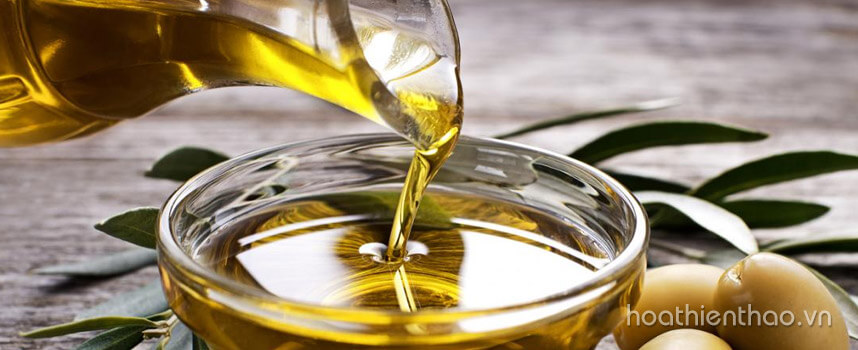 Cách chăm sóc da chân mịn màng từ A đến Z - Hoa Thiên Thảo