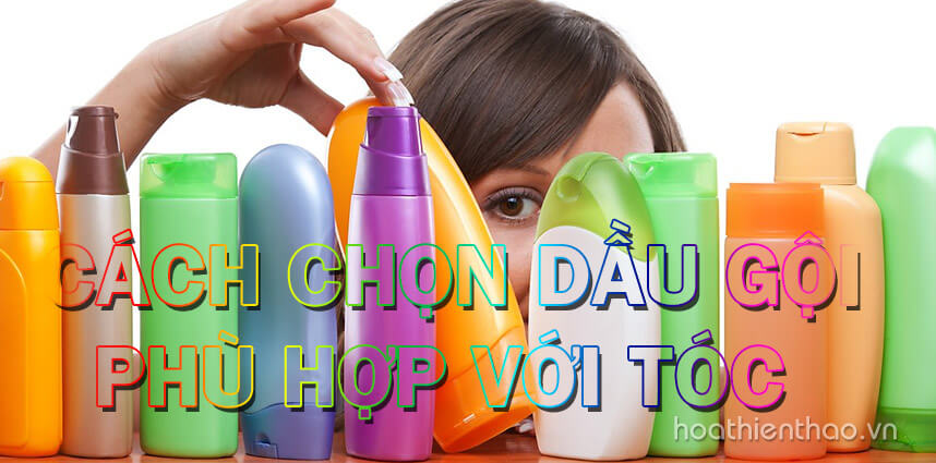Cách chọn dầu gội phù hợp với tóc - hoathienthaovn