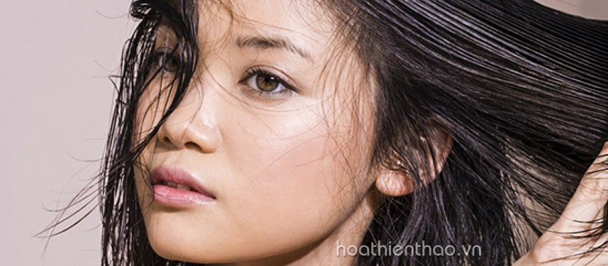 Cách chọn dầu gội phù hợp với tóc - hoathienthaovn