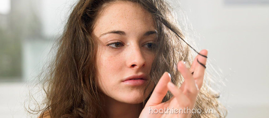 Cách chọn dầu gội phù hợp với tóc - hoathienthaovn