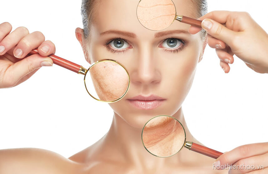 Những cách làm mặt nạ chống lão hóa da - HoaThienThao