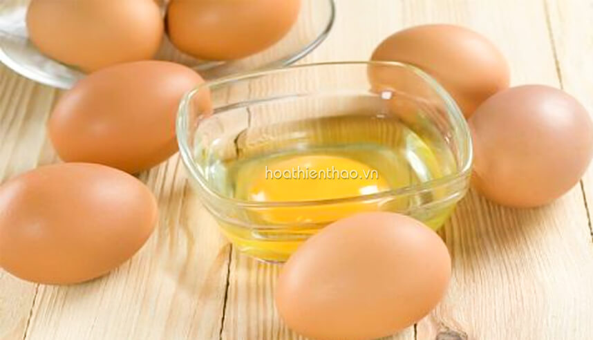 Những cách làm mặt nạ chống lão hóa da - HoaThienThao