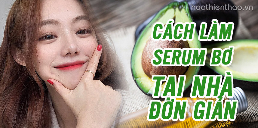 Khám phá cách làm serum bơ tại nhà - Hoa Thiên Thảo