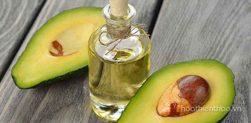 Khám phá cách làm serum bơ tại nhà - Hoa Thiên Thảo