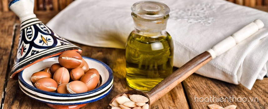 Bỏ túi cách làm serum dưỡng da handmade tại nhà - Hoa Thiên Thảo