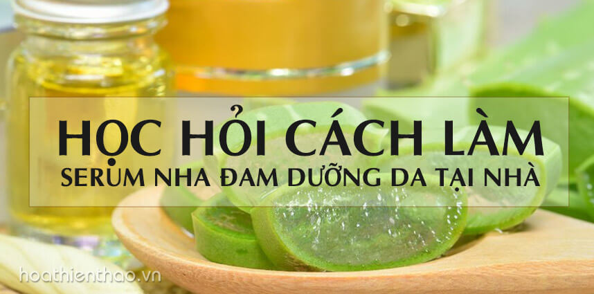 Cách làm serum nha đam dưỡng da tại nhà - Hoa Thiên Thảo