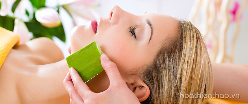 Cách làm serum nha đam dưỡng da tại nhà - Hoa Thiên Thảo