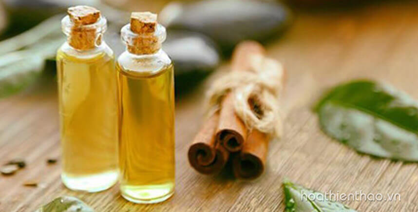 Cách làm serum trà xanh chống lão hóa da hiệu quả - Hoa Thiên Thảo
