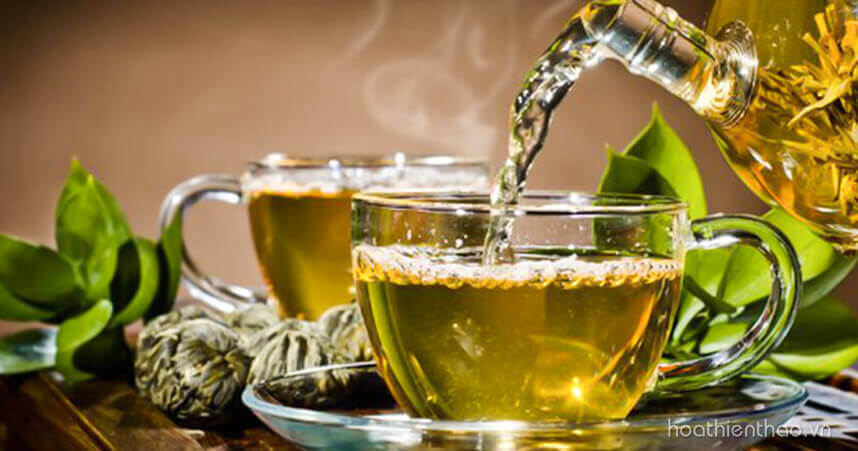 Cách phục hồi da hư tổn bằng thiên nhiên - HoaThienThao