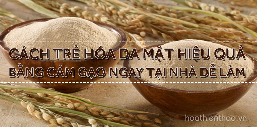 Cách trẻ hóa da mặt hiệu quả bằng cám gạo - Hoa Thien Thao Cosmetics