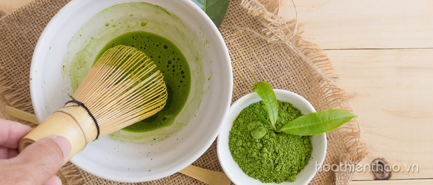 Khám phá cách trị nám của người Nhật hiệu quả cao - Hoa Thiên Thảo