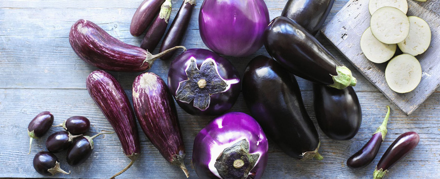 Cách trị nám da mặt bằng phương pháp dân gian - HoaThienThao