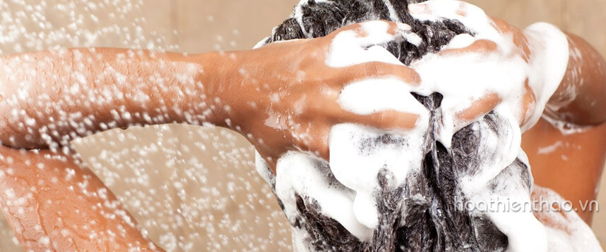 Chăm sóc tóc mùa đông đẹp toàn diện - Hoa Thien Thao Cosmetics