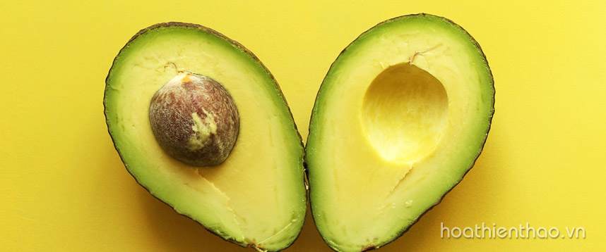 Chăm sóc tóc mùa đông đẹp toàn diện - Hoa Thien Thao Cosmetics