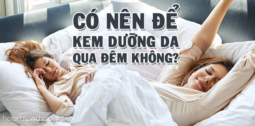 Giải đáp có nên để kem dưỡng da qua đêm không - Hoa Thiên Thảo