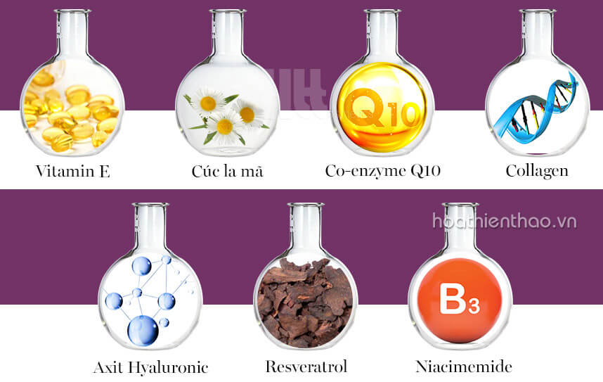 Giải đáp có nên để kem dưỡng da qua đêm không - Hoa Thiên Thảo