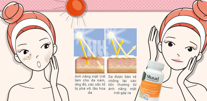 Có nên dùng viên uống chống nắng Murad không - Hoa Thiên Thảo