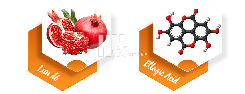 Giải đáp có nên uống viên chống nắng không - Hoa Thiên Thảo