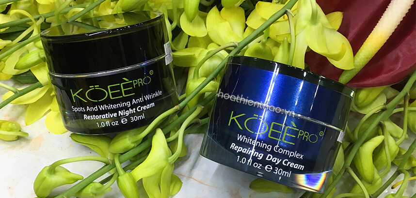 Khám phá công dụng bộ kem trị nám Koee Pro ngày và đêm - Hoa Thiên Thảo
