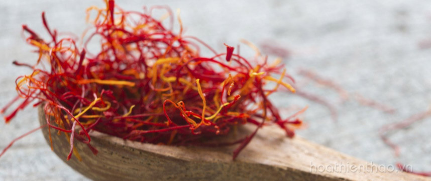 Công dụng của nhụy hoa nghệ tây saffron đối với sức khỏe và làm đẹp - hoathienthaovn