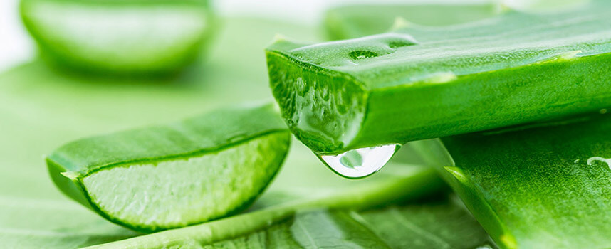 Công dụng và cách làm mặt nạ nha đam siêu đơn giản - Hoa Thien Thao Cosmetics