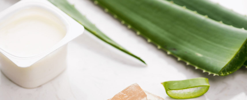 Công dụng và cách làm mặt nạ nha đam siêu đơn giản - Hoa Thien Thao Cosmetics