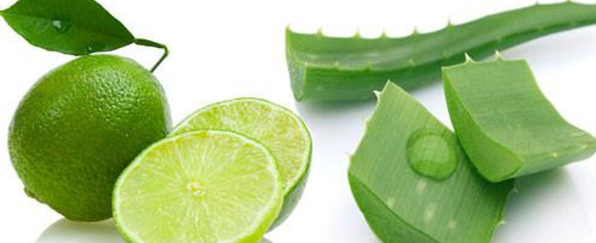 Công dụng và cách làm mặt nạ nha đam siêu đơn giản - Hoa Thien Thao Cosmetics