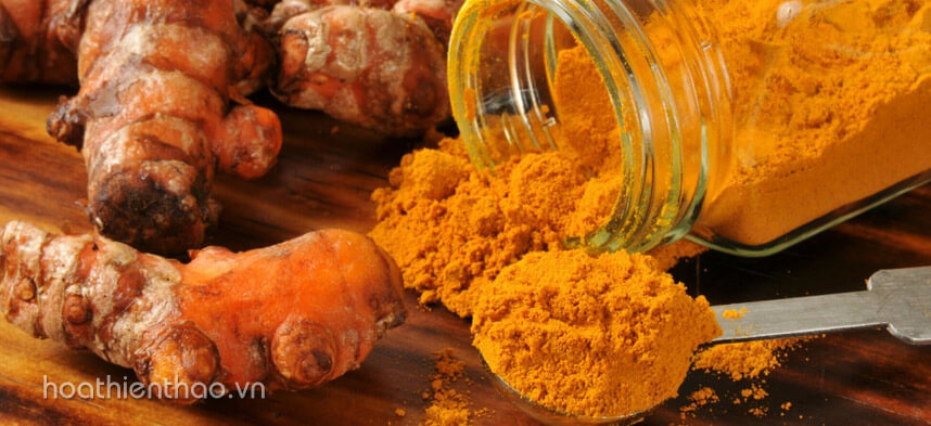 Công thức nghệ ngâm rượu trị nám hiệu quả - Hoa Thiên Thảo