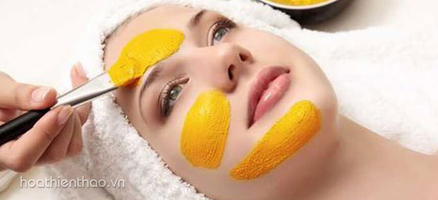 Công thức nghệ ngâm rượu trị nám hiệu quả - Hoa Thiên Thảo