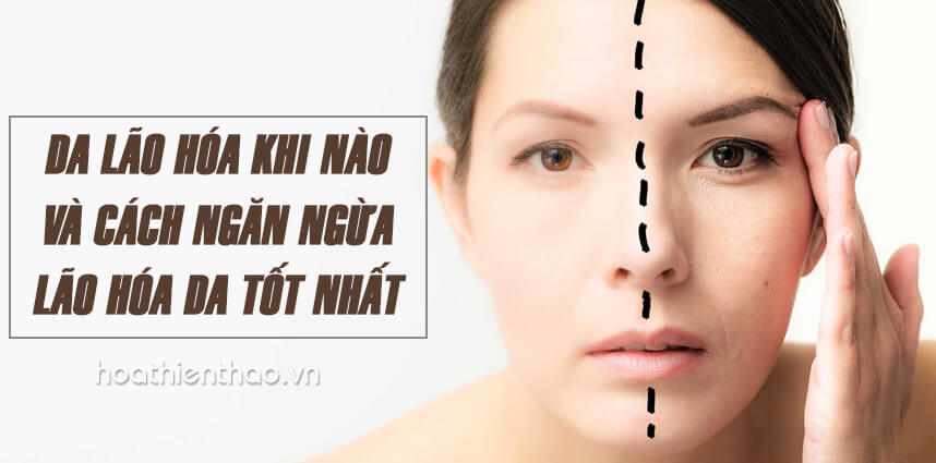 Da lão hóa khi nào và cách ngăn ngừa lão hóa da tốt nhất - Hoa Thien Thao Cosmetics