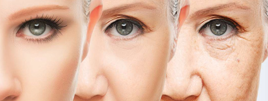 Da lão hóa khi nào và cách ngăn ngừa lão hóa da tốt nhất - Hoa Thien Thao Cosmetics
