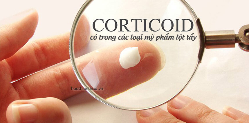 Da nhiễm Corticoid nên dùng gì - HoaThienThao