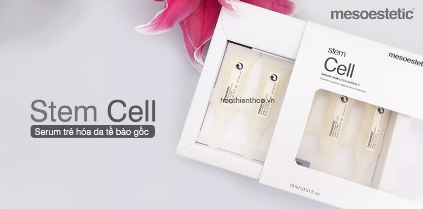 Da nhiễm Corticoid nên dùng gì - HoaThienThao
