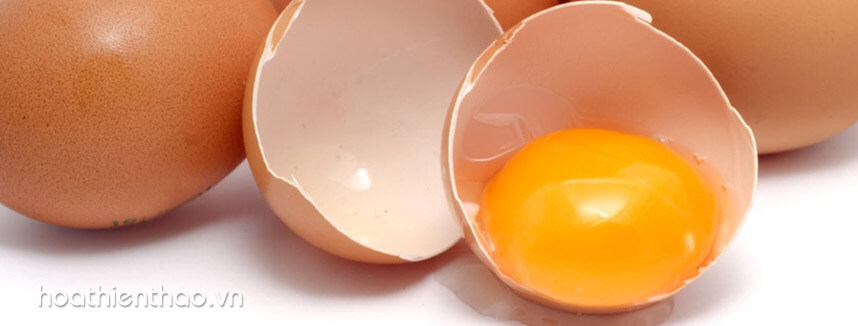 Da nứt nẻ vào mùa đông - Hoa Thien Thao Cosmetics